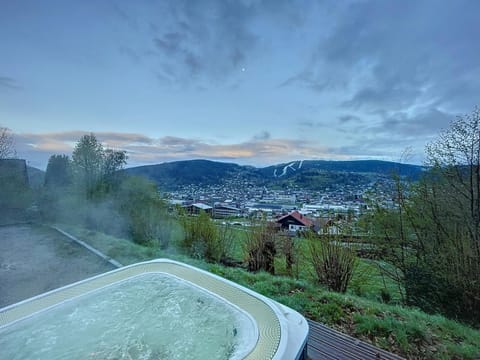 Hot Tub, Spa and wellness centre/facilities, Mountain view