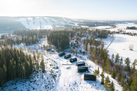 Neighbourhood, Bird's eye view, Winter