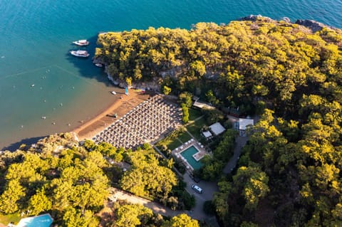 Restaurant/places to eat, Natural landscape, Bird's eye view, Beach, Pool view, Sea view