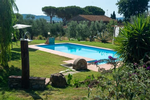 Day, Garden, Garden view, Pool view, Swimming pool