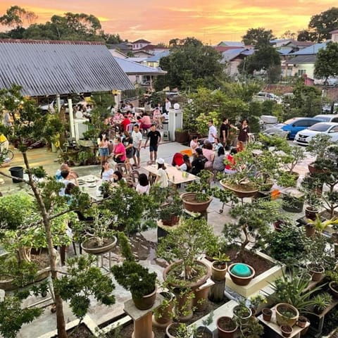 People, Garden, Garden view, group of guests