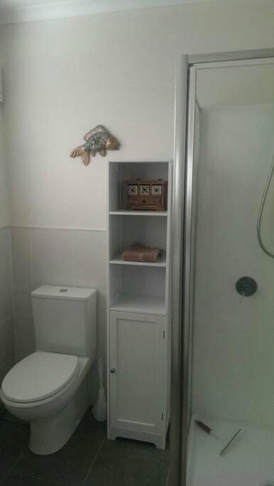 Providence House- 100 year old gracious residence Apartment in Tasmania