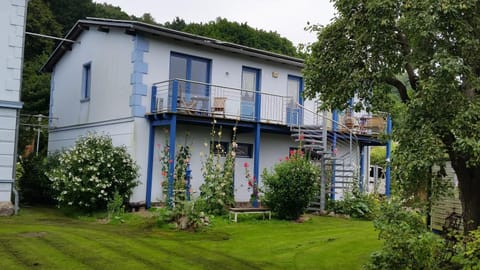 Neighbourhood, Natural landscape, Garden