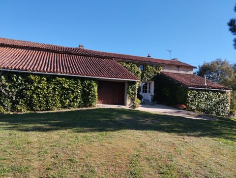 Property building, Garden view