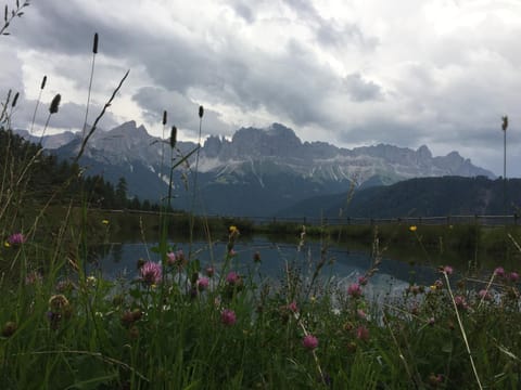 Apartments Dilln Gütl Apartment in Trentino-South Tyrol