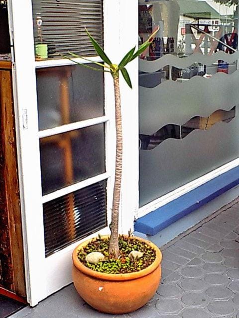 Shark shacks Capsule hotel in Western Cape