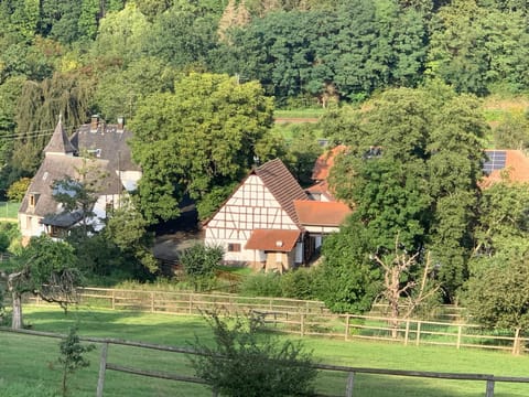 Property building, Day, Natural landscape