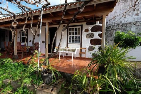 Patio, Day, Garden, Garden view