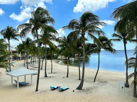 Sea view, sunbed