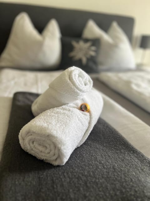 Palais am Kai - Zentrale Lage, Kostenloser Parkplatz Vacation rental in Salzburg