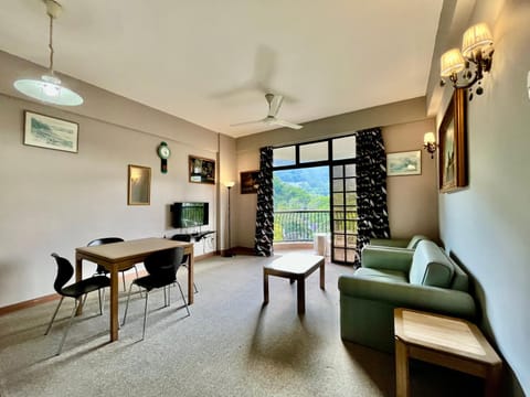 TV and multimedia, Living room, Seating area, Dining area, fireplace, air conditioner