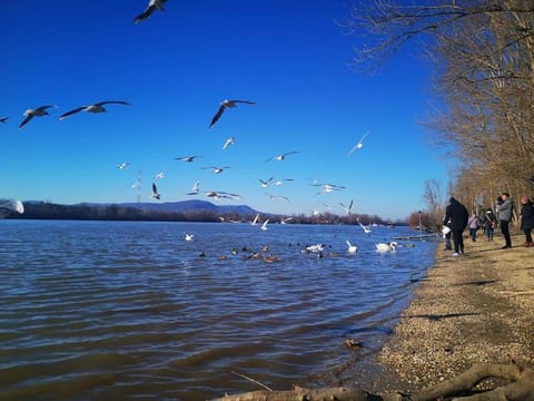 River view
