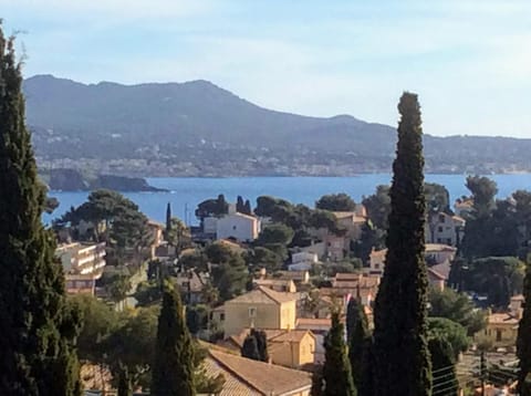 View (from property/room)