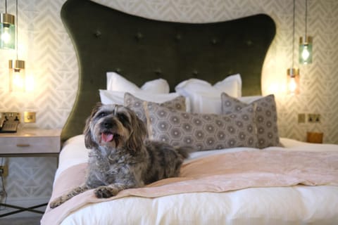 Gonville Hotel Hotel in Cambridge