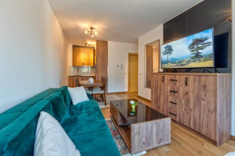 Communal lounge/ TV room, TV and multimedia, Kitchen or kitchenette, Living room, Seating area, Evening entertainment