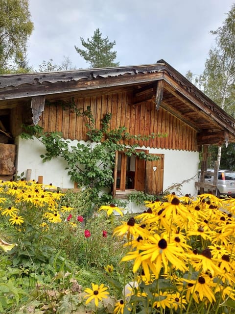 Garden, Garden
