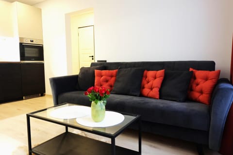 Jaukus Koko butas 1 aukšte Apartment in Lithuania