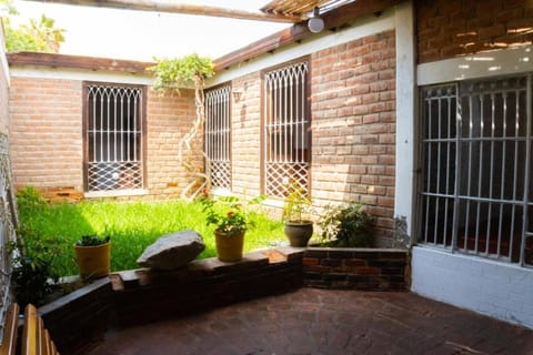 Spring, Garden, Garden view