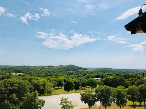 Nearby landmark, Natural landscape