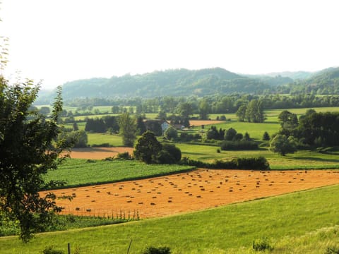 Natural landscape