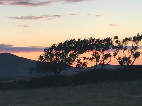 Emlagh House Bed and Breakfast in Dingle