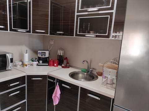 Етаж от къща - Нощувки Ками Apartment in Pleven