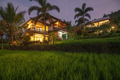 Property building, Neighbourhood, Garden, Sunset