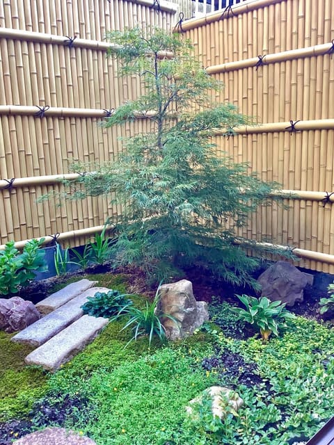 Garden, Garden, Garden view