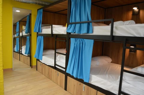 Bed, Photo of the whole room, Bedroom, bunk bed