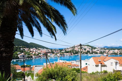 On site, Sea view