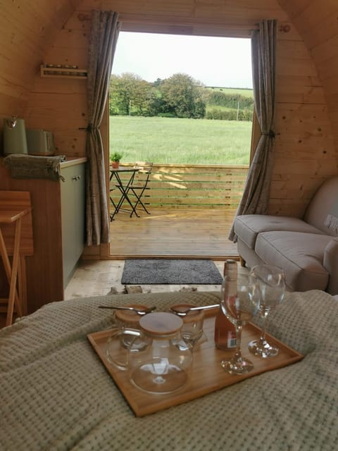 Y Nyth - The nest Campground/ 
RV Resort in Wales