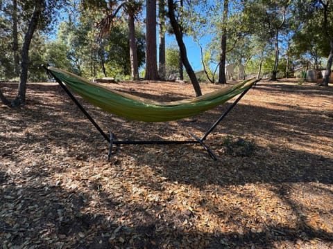 Day, Natural landscape, Garden, Garden view