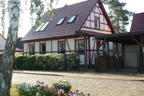 Property building, Internal: Not applicable to any particular room