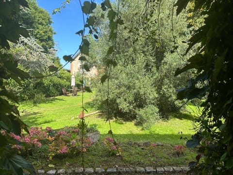 Natural landscape, Garden, Garden view