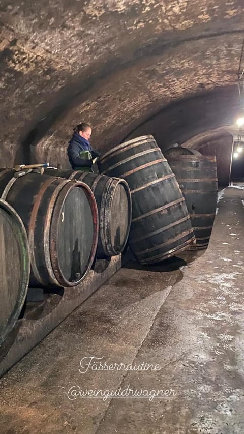 Ferienwohnungen Dr Wagner House in Trier-Saarburg