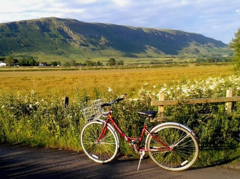 Natural landscape, Cycling, Mountain view, Area and facilities