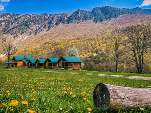 Eko Oaza-Tear of Europe Campground/ 
RV Resort in Montenegro