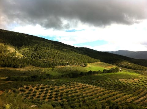 Natural landscape, Mountain view, Mountain view, Location