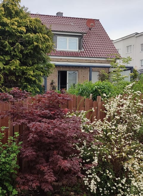 Property building, Garden view