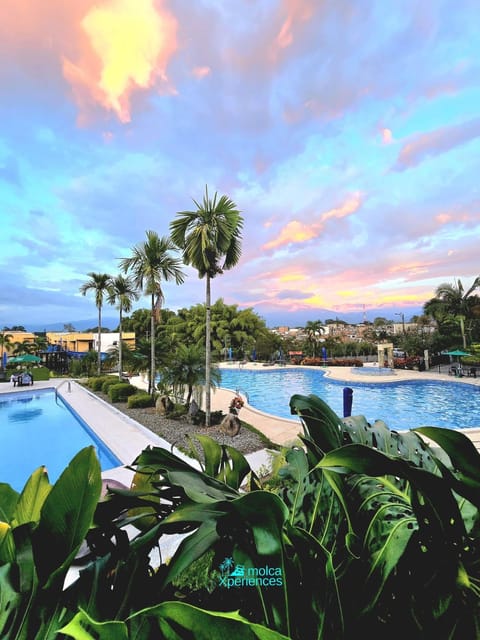 Day, Pool view, Swimming pool