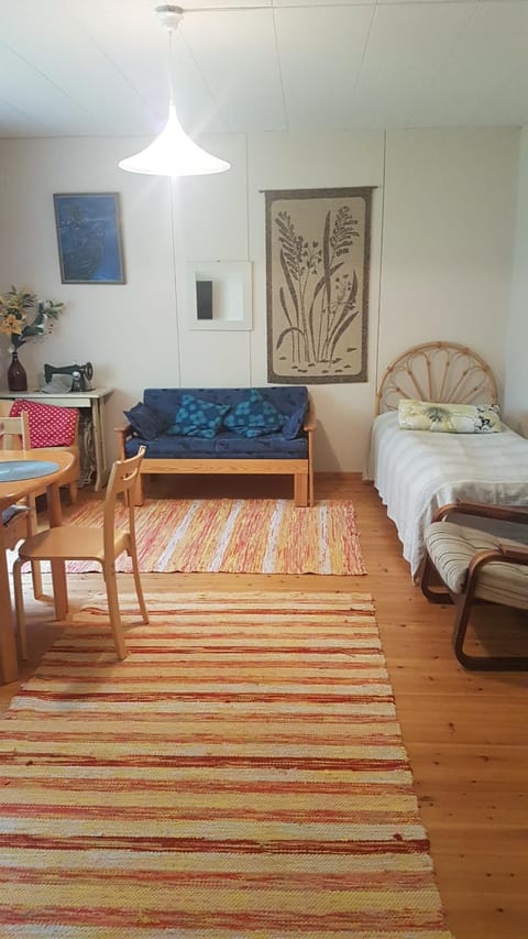 Bed, TV and multimedia, Living room, Photo of the whole room, Seating area, Dining area, Bedroom, hair dresser