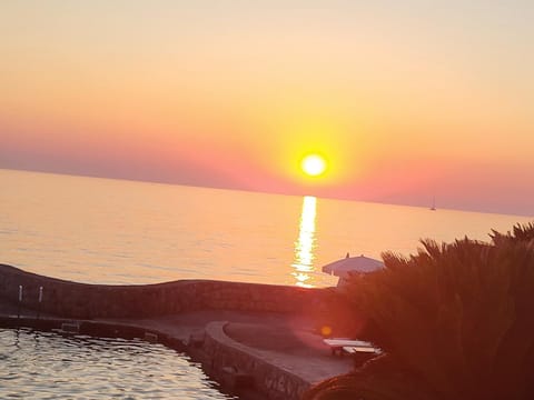 Apartmani BLUE MOON Apartment in Ulcinj Municipality