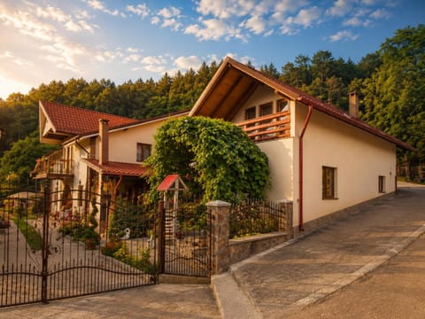 Property building, Day, Garden