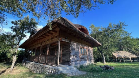 Complexul Turistic Căsuțele din grădină: Căsuța cu Stuf Country House in Timiș County