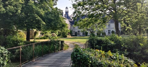Property building, Spring, Day, Garden