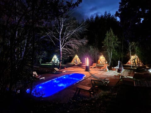 Night, Natural landscape, Garden, Garden view, Pool view, Swimming pool, sunbed