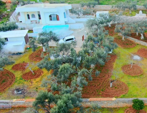 Natural landscape, Bird's eye view, Garden, Swimming pool
