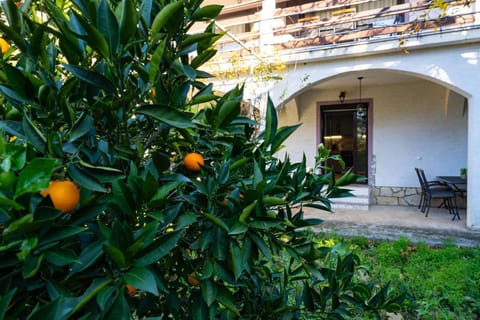 Property building, Patio, Day, Garden, Garden view