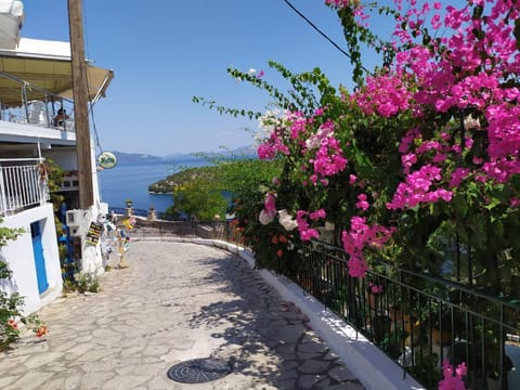 Neighbourhood, Natural landscape, Shopping Area