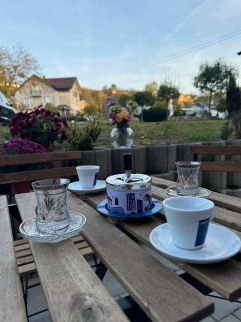 Vila Lela Apartment in Serbia